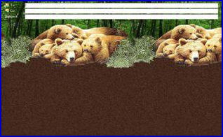 bears.jpg