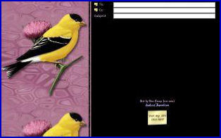 yellowandblackbird.jpg